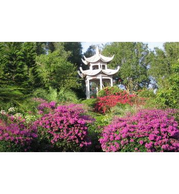 Хайнань — остров вечного лета ждёт вас!